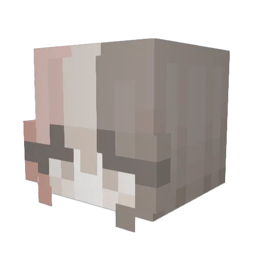 rissalyn Minecraft avatar head, 3D render