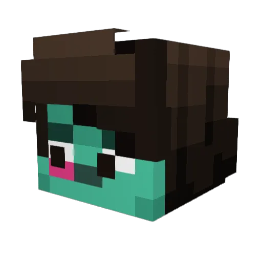ritokiti Minecraft avatar head, 3D render