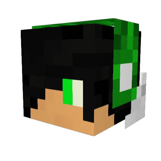 ritos170 Minecraft avatar head, 3D render