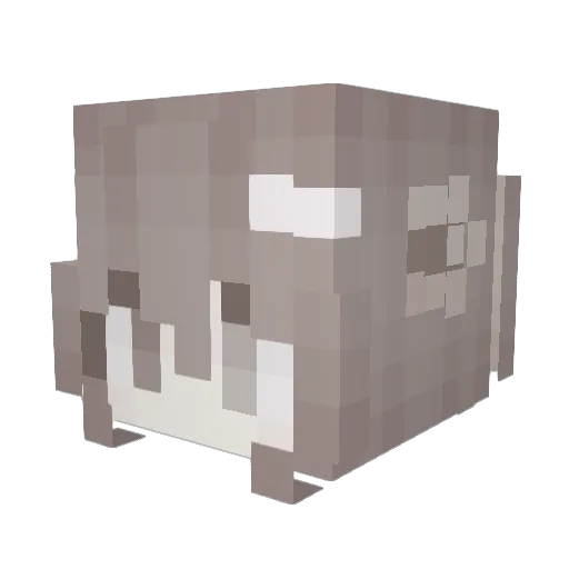 riturea Minecraft avatar head, 3D render