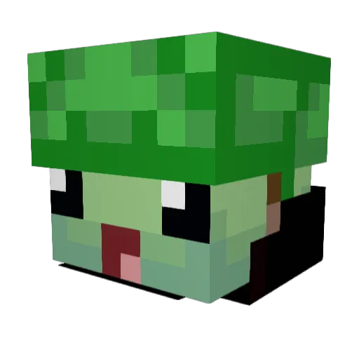 rivachrose Minecraft avatar head, 3D render