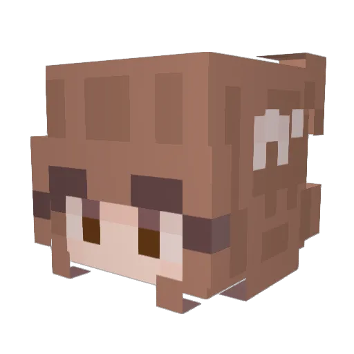 riverbrookee Minecraft avatar head, 3D render