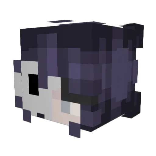 rivermagick Minecraft avatar head, 3D render