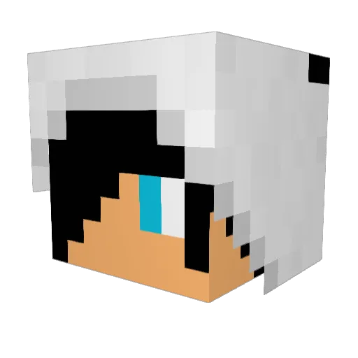 riverrush Minecraft avatar head, 3D render