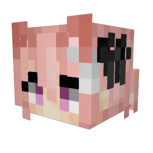 rivesti Minecraft avatar head, 3D render