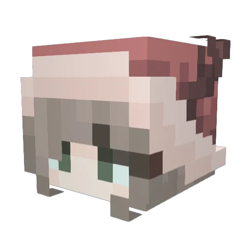 riviereFLAME Minecraft avatar head, 3D render
