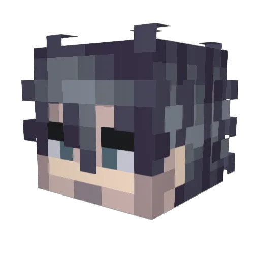 rivilion Minecraft avatar head, 3D render