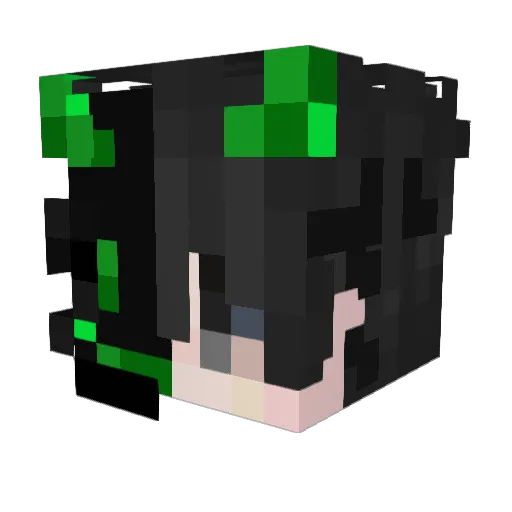 rix0ll Minecraft avatar head, 3D render