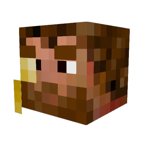 rixa65 Minecraft avatar head, 3D render