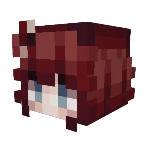 rixn_x Minecraft avatar head, 3D render