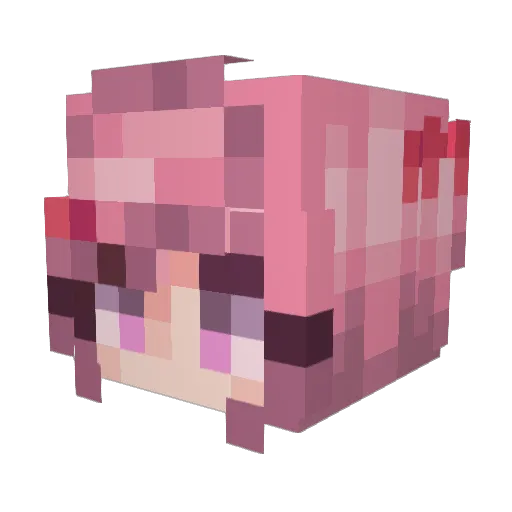 rixzzzzy Minecraft avatar head, 3D render