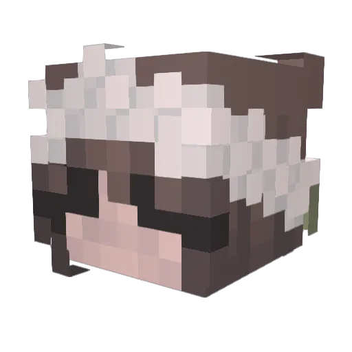 riyahqtt Minecraft avatar head, 3D render