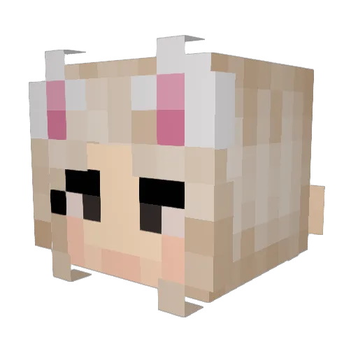 rizzgod35 Minecraft avatar head, 3D render