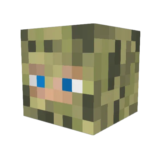 rizzo20 Minecraft avatar head, 3D render