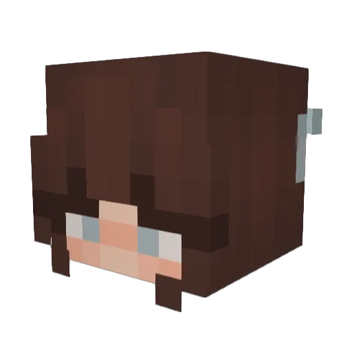 rj1297 Minecraft avatar head, 3D render