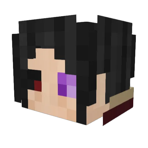 rjbisons Minecraft avatar head, 3D render