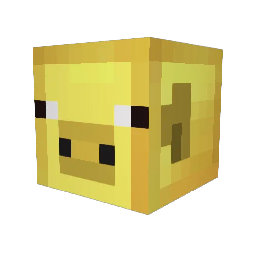 rjd55 Minecraft avatar head, 3D render