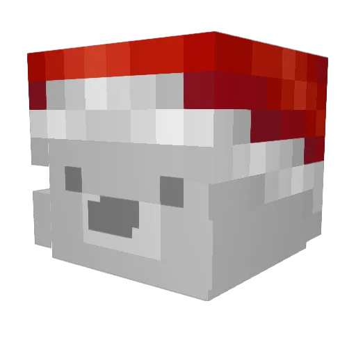 rjs_dn Minecraft avatar head, 3D render