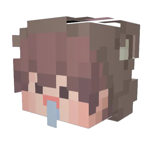 rjsgy14 Minecraft avatar head, 3D render