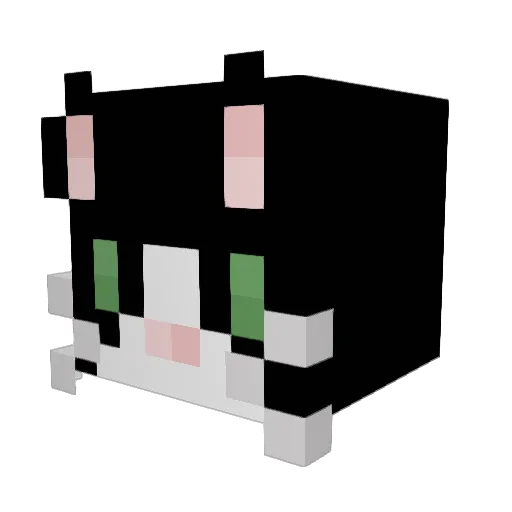 rjy0611 Minecraft avatar head, 3D render