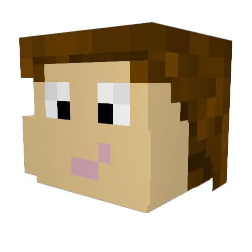 rk_steddum Minecraft avatar head, 3D render