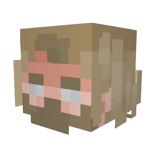 rkd7373 Minecraft avatar head, 3D render