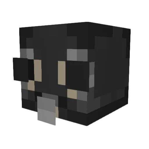 rkellyblanket Minecraft avatar head, 3D render