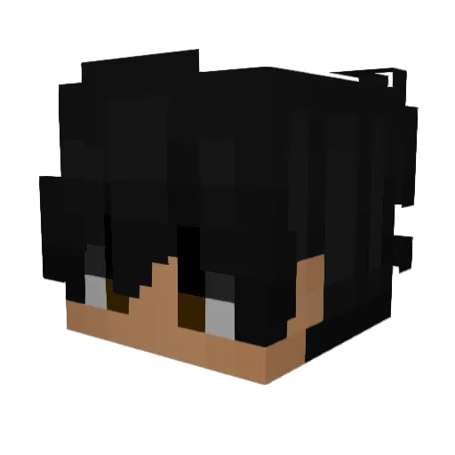 rl0ns Minecraft avatar head, 3D render