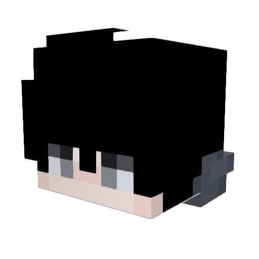 rlVSAT Minecraft avatar head, 3D render