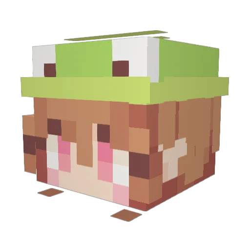 rlacofus1004 Minecraft avatar head, 3D render