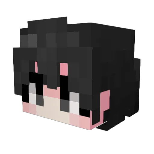 rlap1905 Minecraft avatar head, 3D render