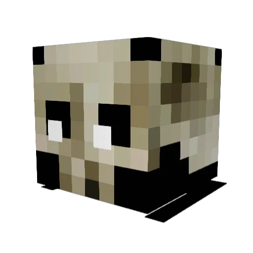 rlaw135 Minecraft avatar head, 3D render