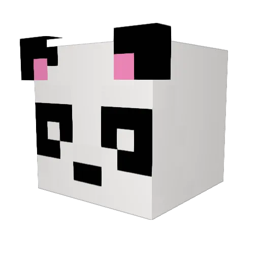 rlawnstn0120 Minecraft avatar head, 3D render