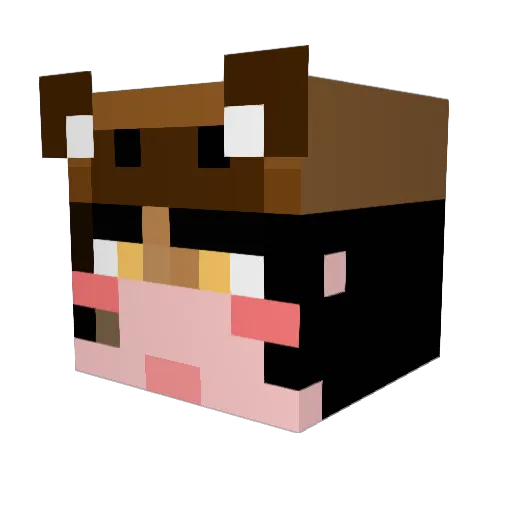 rlawpgus99 Minecraft avatar head, 3D render