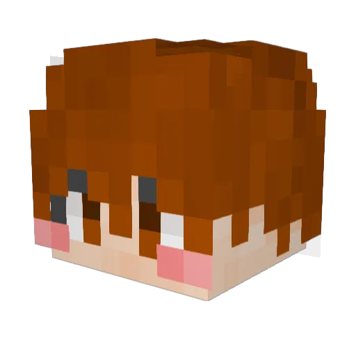 rlaxotks1234 Minecraft avatar head, 3D render