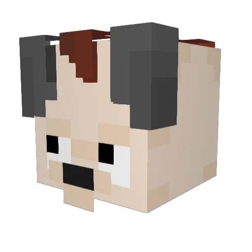 rljaemin Minecraft avatar head, 3D render
