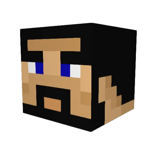 rllywhy Minecraft avatar head, 3D render