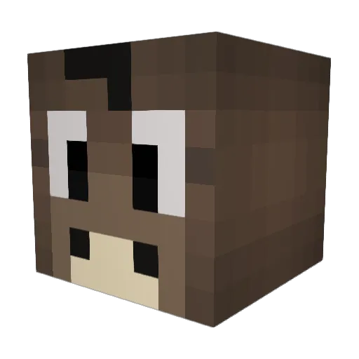 rls_johann Minecraft avatar head, 3D render