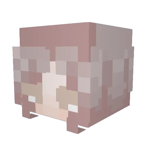 rlu_o Minecraft avatar head, 3D render