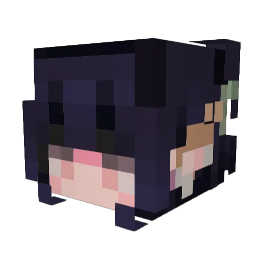 rlytired Minecraft avatar head, 3D render