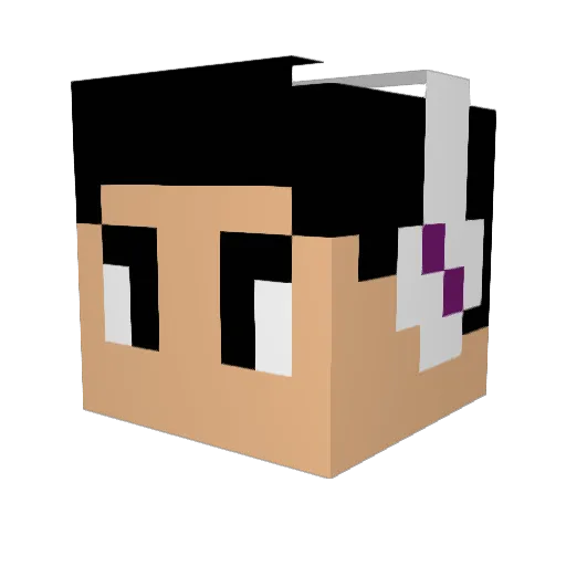 rm_3010 Minecraft avatar head, 3D render