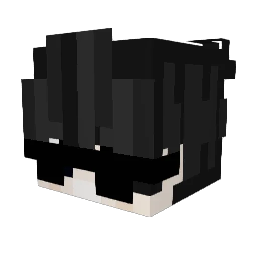 rmagg09 Minecraft avatar head, 3D render
