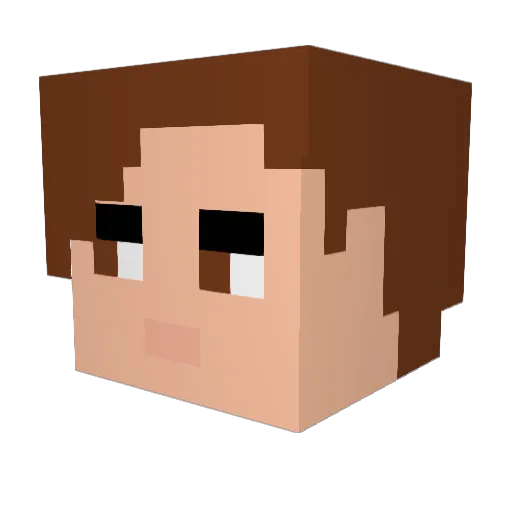 rmdriskill Minecraft avatar head, 3D render