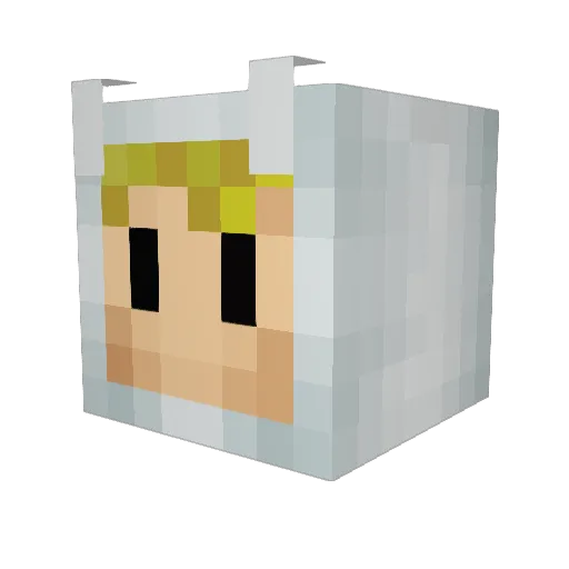 rmiller1406 Minecraft avatar head, 3D render