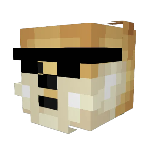 rmjannx Minecraft avatar head, 3D render
