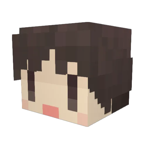 rmrm14 Minecraft avatar head, 3D render