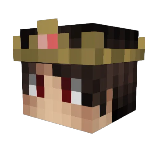 rnastah_ Minecraft avatar head, 3D render