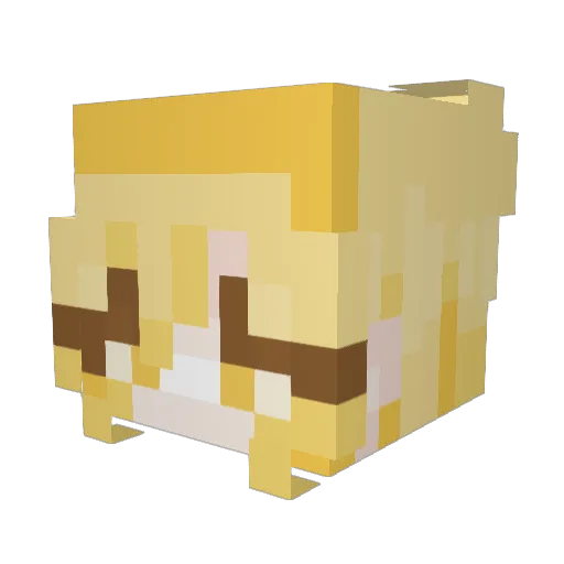 rnbbjesus Minecraft avatar head, 3D render