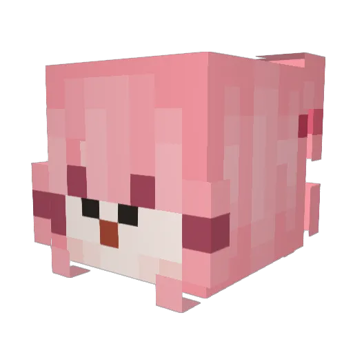 rngm Minecraft avatar head, 3D render