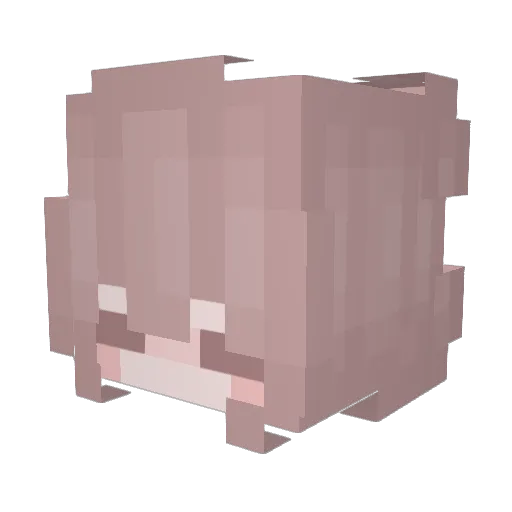 rni12 Minecraft avatar head, 3D render